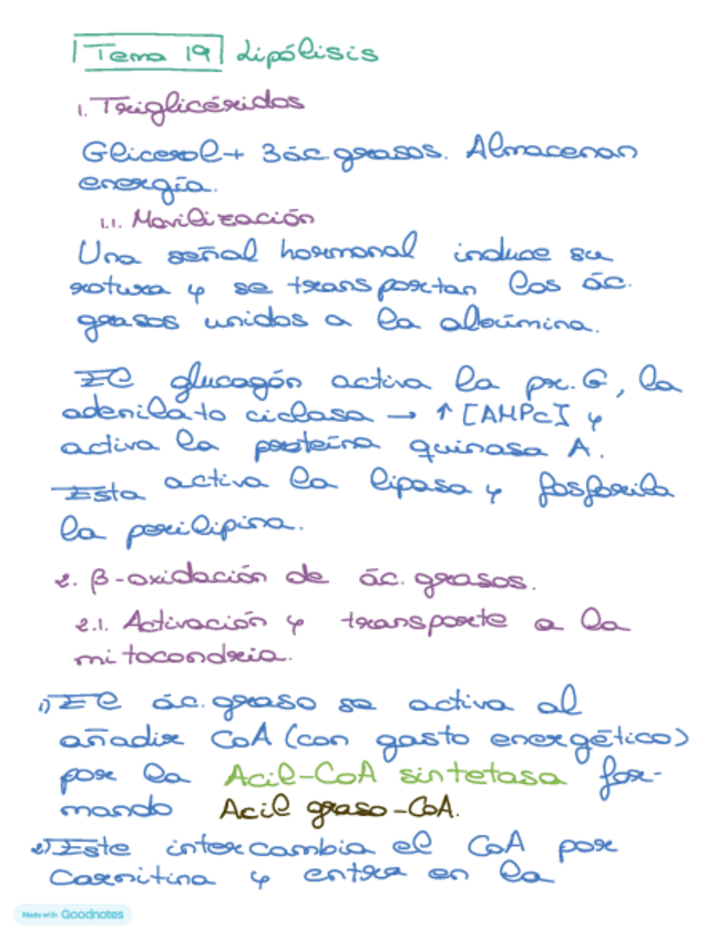 Miniatura del documento Bioquimica-tema-19.pdf