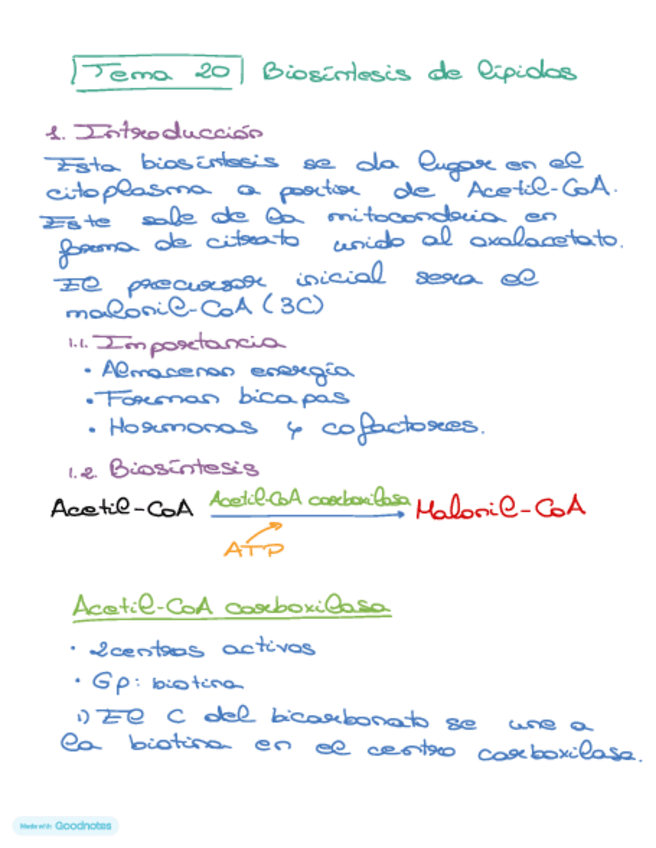 Miniatura del documento Bioquimica-tema-20.pdf