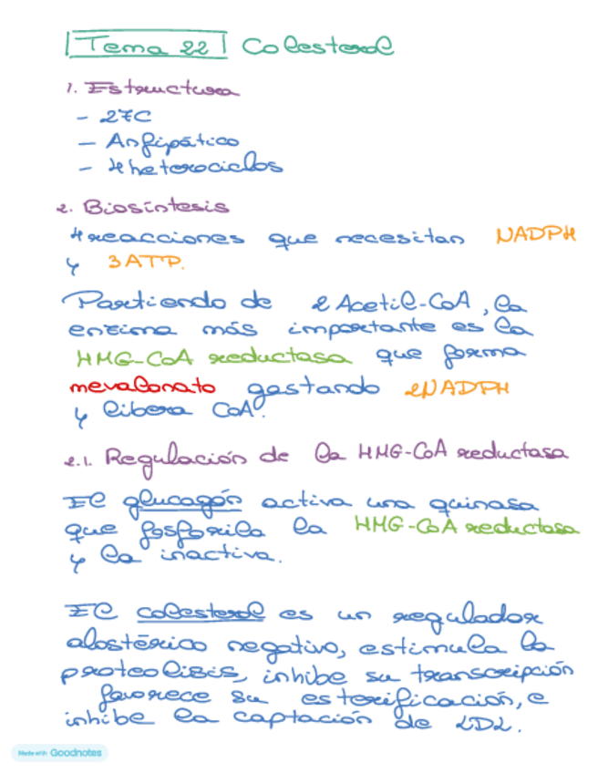Miniatura del documento Bioquimica-tema-22.pdf