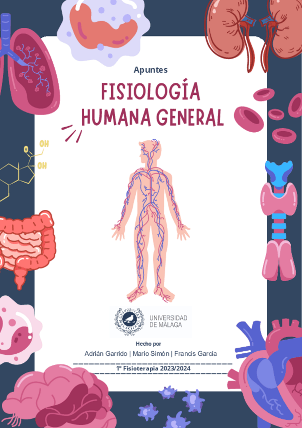 Miniatura del documento Apuntes Fisiología Humana 2023/2024 (A.,M.&F.).pdf