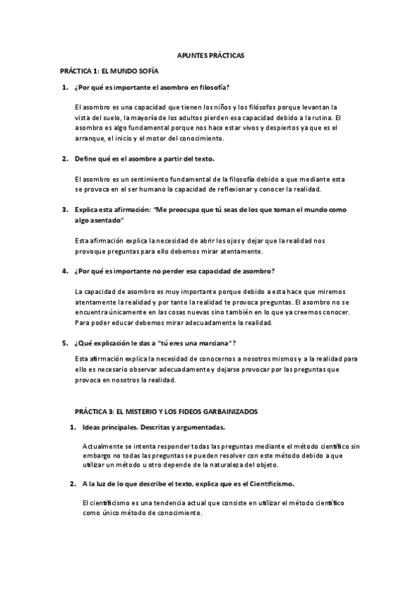 Miniatura del documento APUNTES-PRACTICAS.pdf