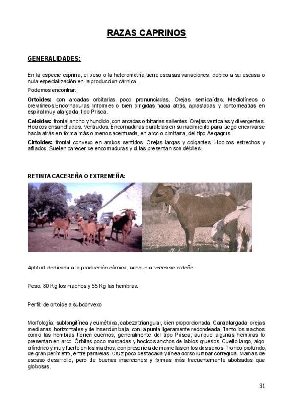 Miniatura del documento razas-de-cabras.pdf