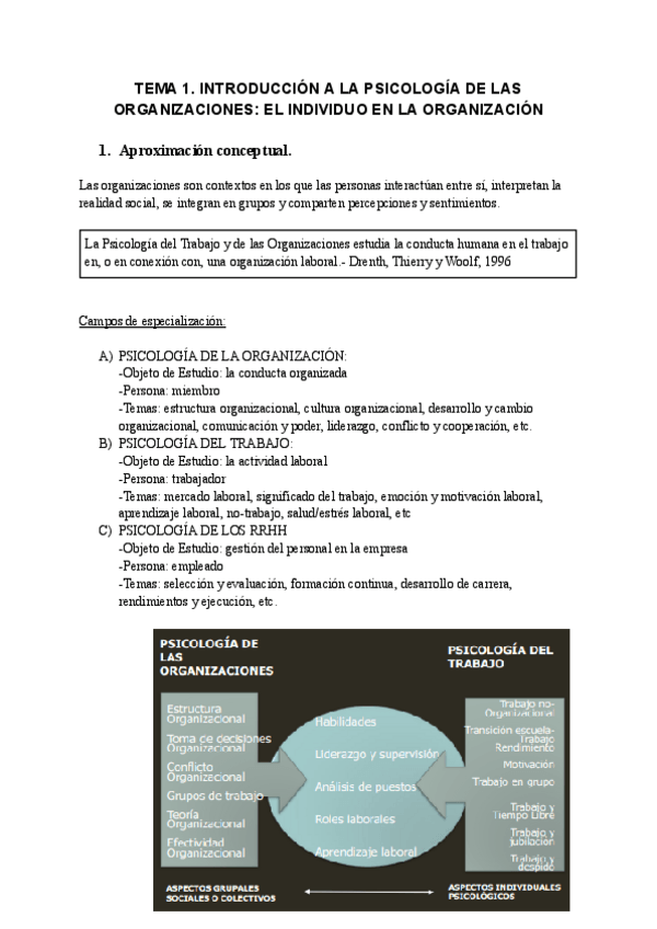 Miniatura del documento Psicologia-d-las-organizaciones.pdf