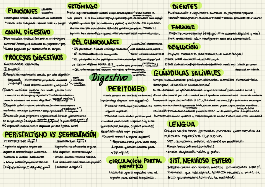 Miniatura del documento Digestivo-mapa-conceptual.pdf