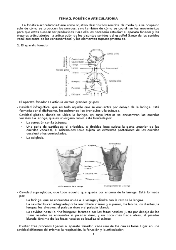 Miniatura del documento UNIDAD-2.docx