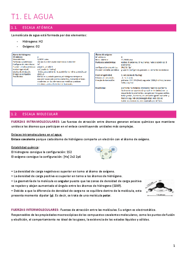 Miniatura del documento T1.-El-agua.pdf