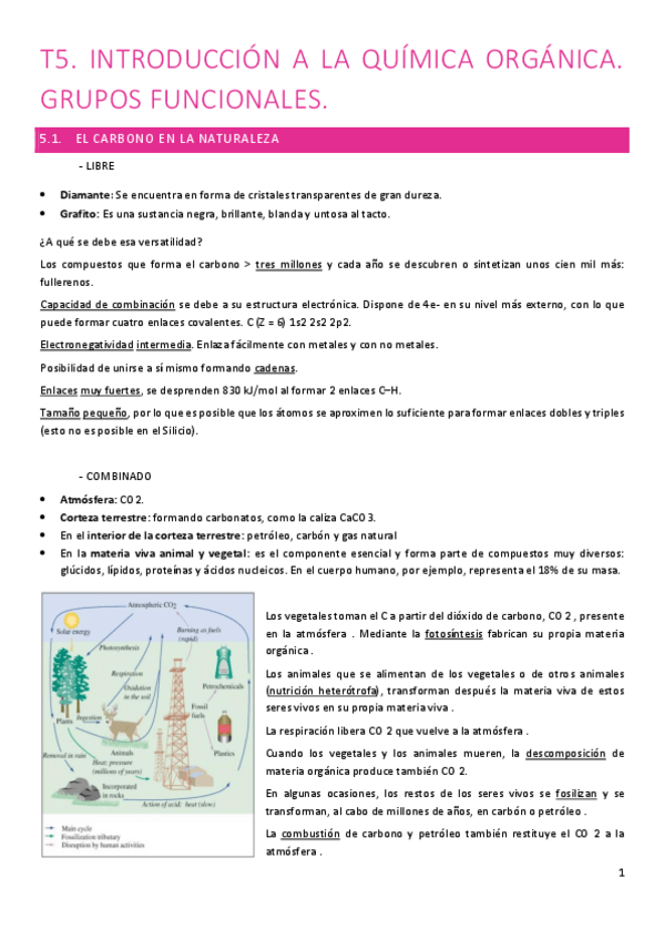 Miniatura del documento T5.-Quimica-organica.pdf