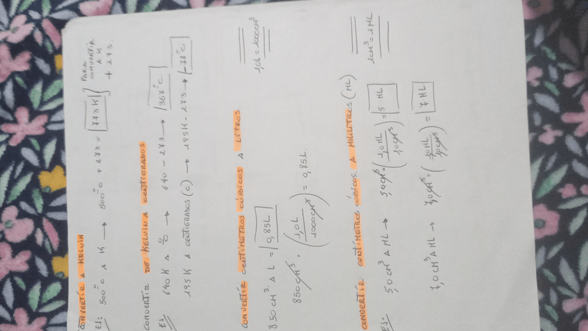 Miniatura del documento IMG-20240131-WA0003.jpeg