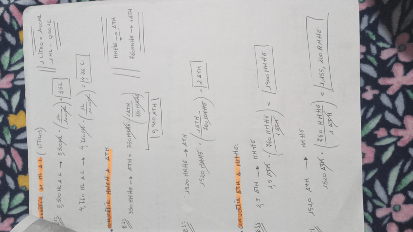 Miniatura del documento IMG-20240131-WA0005.jpeg