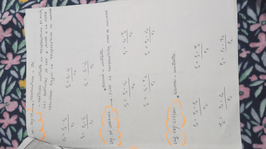 Miniatura del documento IMG-20240131-WA0007.jpeg