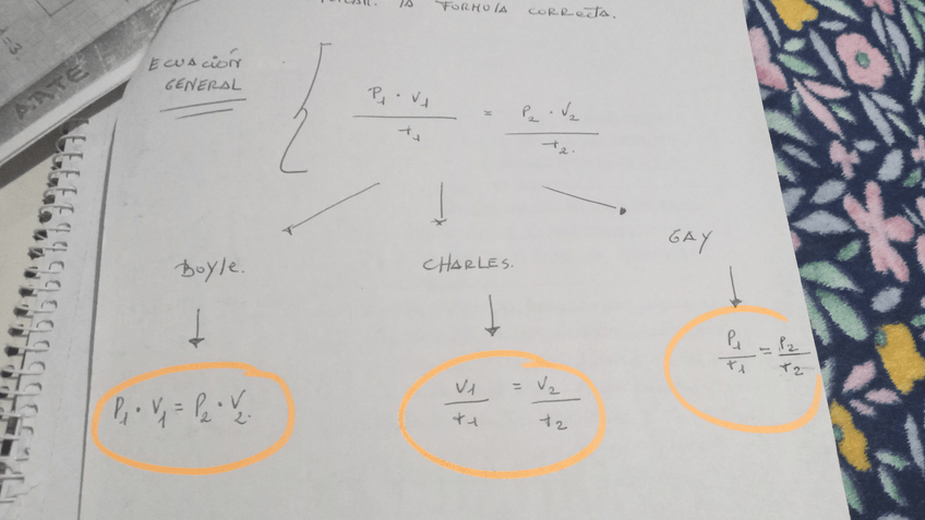 Miniatura del documento IMG-20240131-WA0008.jpeg