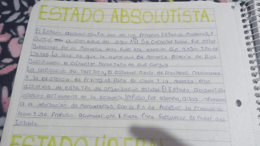 Miniatura del documento IMG-20240131-WA0025.jpeg