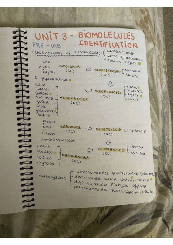 Miniatura del documento UNIT-3.pdf