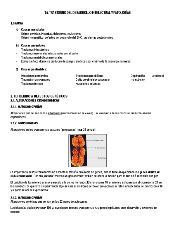 Miniatura del documento T.5-TDI-y-patologias.pdf