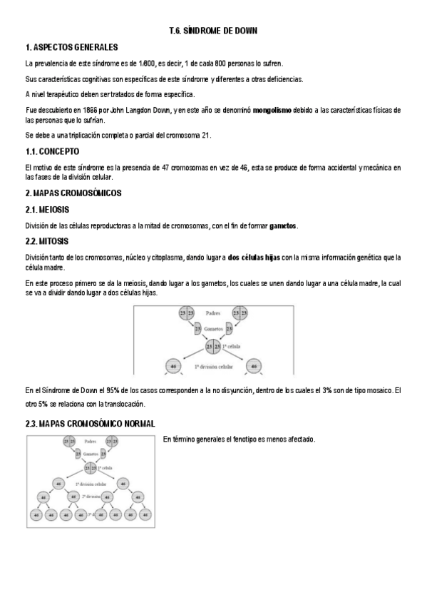 Miniatura del documento T.6.-Sindrome-de-Down.pdf
