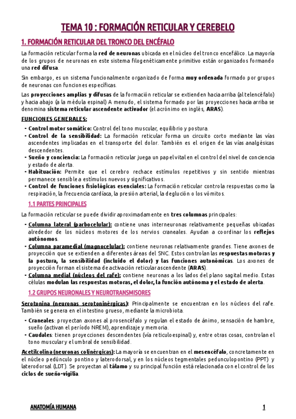Miniatura del documento TEMA-10--FORMACION-RETICULAR-DEL-TRONCO-DEL-ENCEFALO.-CEREBELO.pdf
