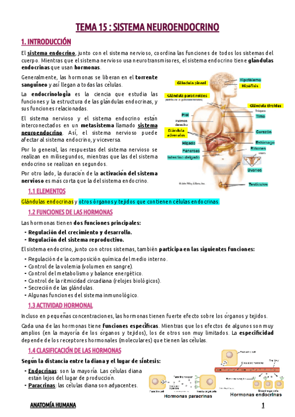 Miniatura del documento TEMA-15--SISTEMA-NEUROENDOCRINO.pdf