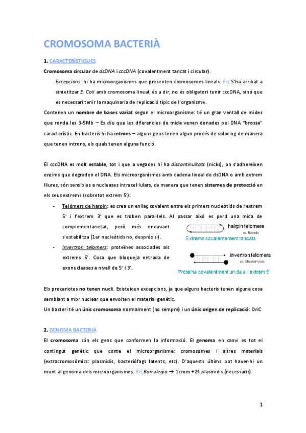 Miniatura del documento Tema 1. Cromosoma bacterià.pdf
