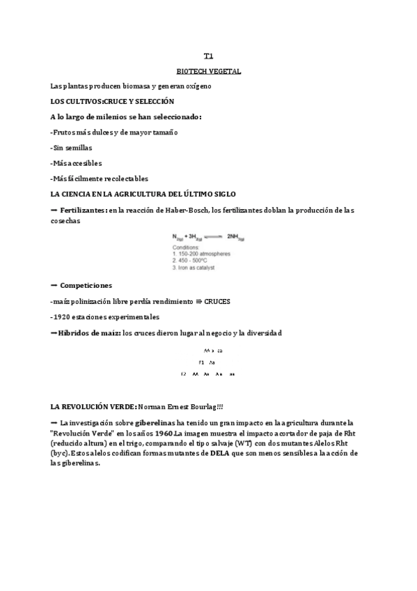 Miniatura del documento t1-biotech-vegetal.pdf