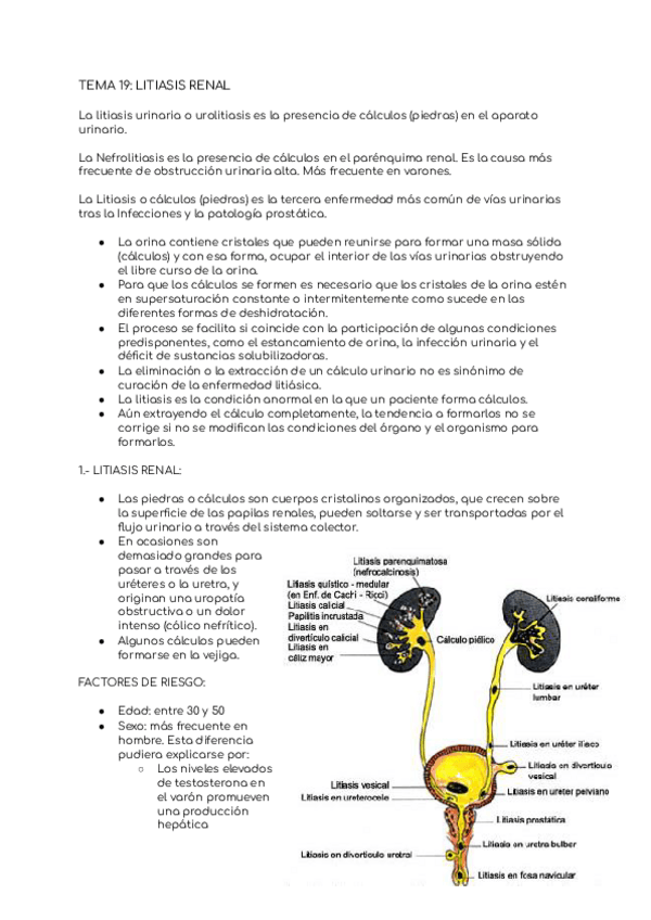 Miniatura del documento TEMA-19-LITIASIS-RENAL.pdf