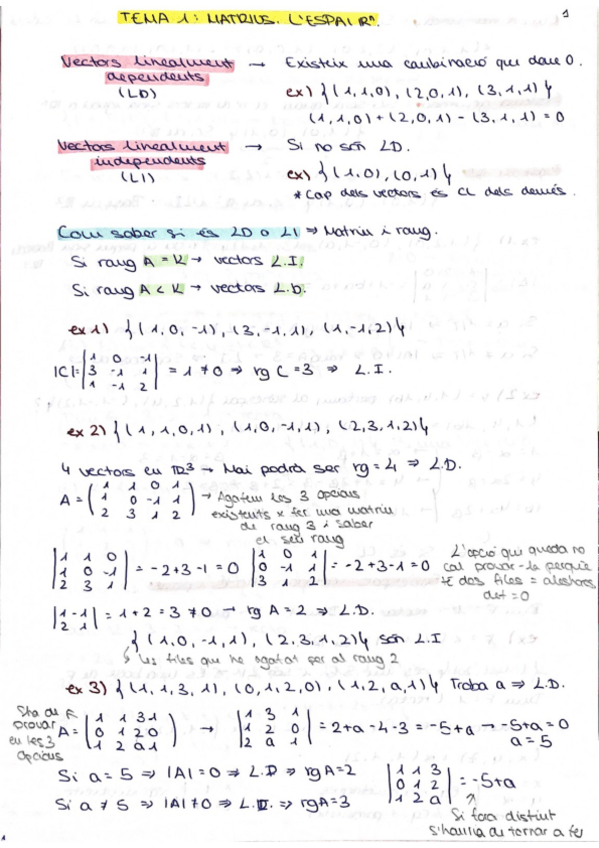 Miniatura del documento Apuntes-primer-examen.pdf
