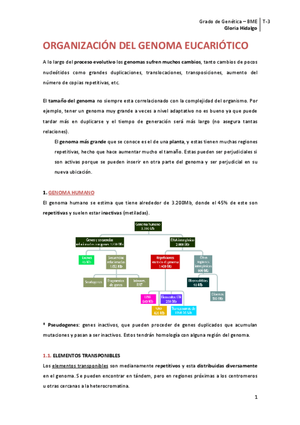 Miniatura del documento Tema 3. Organización del genoma.pdf