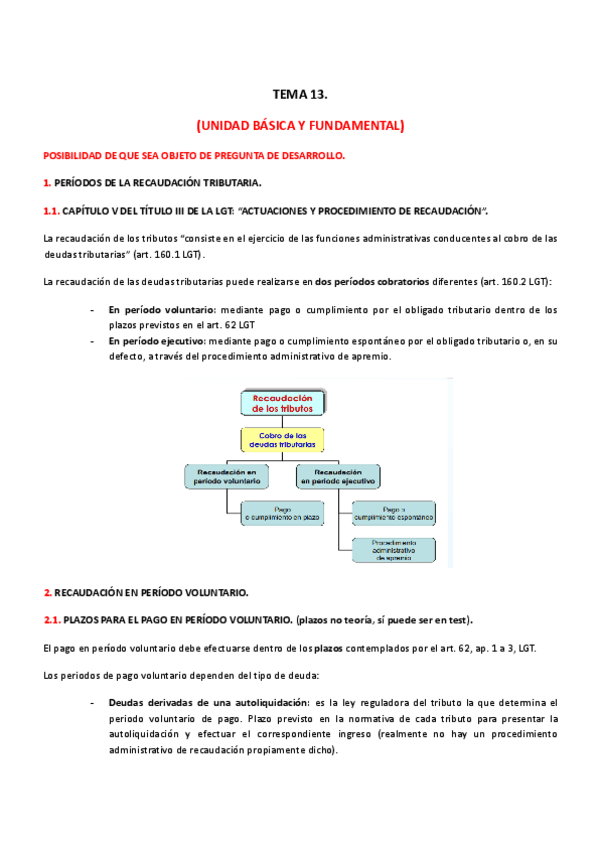 Miniatura del documento TEMA-13.pdf