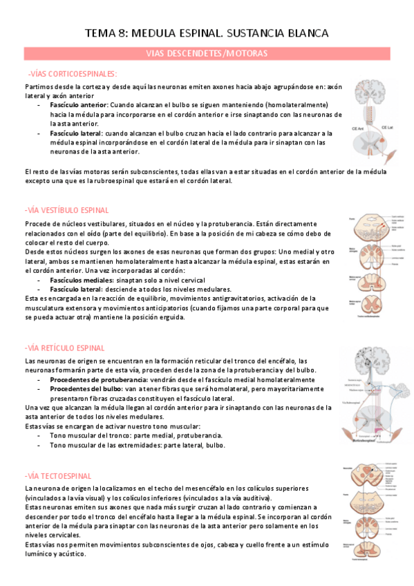 Miniatura del documento TEMA-8-ANTAMIA-II.pdf