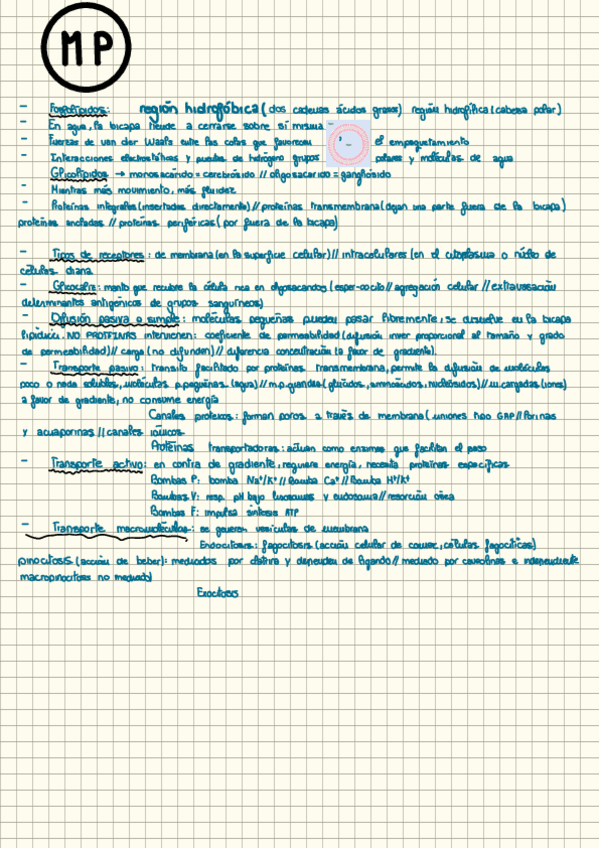 Miniatura del documento Biologia-mini-apuntes.pdf