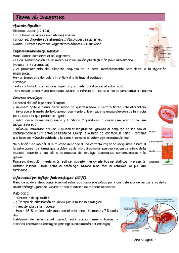 Miniatura del documento TEMA-16.pdf