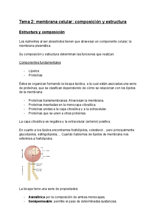Miniatura del documento Tema-2.pdf