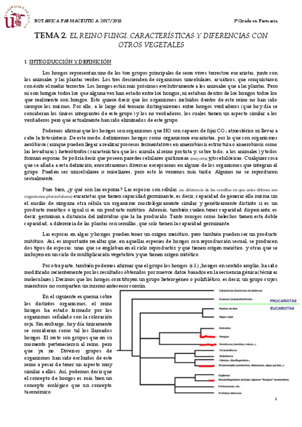 Miniatura del documento TEMA 2 EL REINO FUNGI. CARACTERÍSTICAS Y DIFERENCIAS CON OTROS VEGETALES.pdf