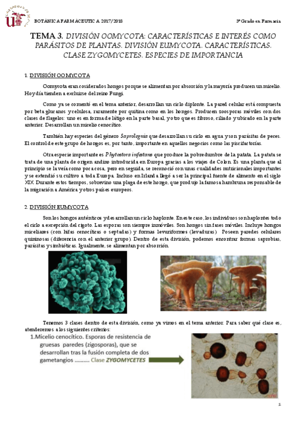 Miniatura del documento TEMA 3 DIVISIÓN OOMYCOTA Y EUMYCOTA. CLASE ZYGOMYCETES.pdf