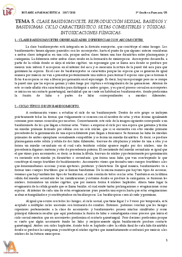Miniatura del documento TEMA 5 CLASE BASIDIOMYCETES.pdf