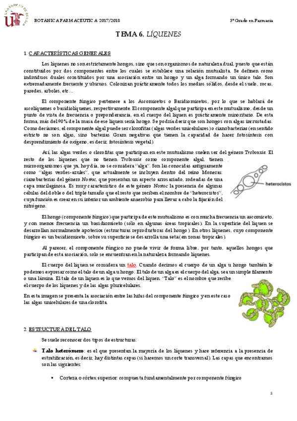 Miniatura del documento TEMA 6 LÍQUENES.pdf