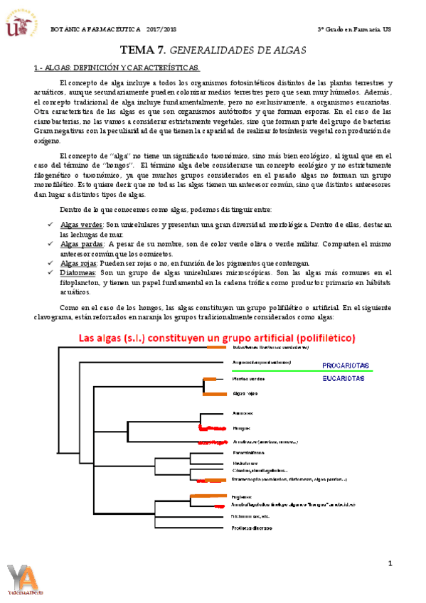 Miniatura del documento TEMA 7 GENERALIDADES DE ALGAS.pdf