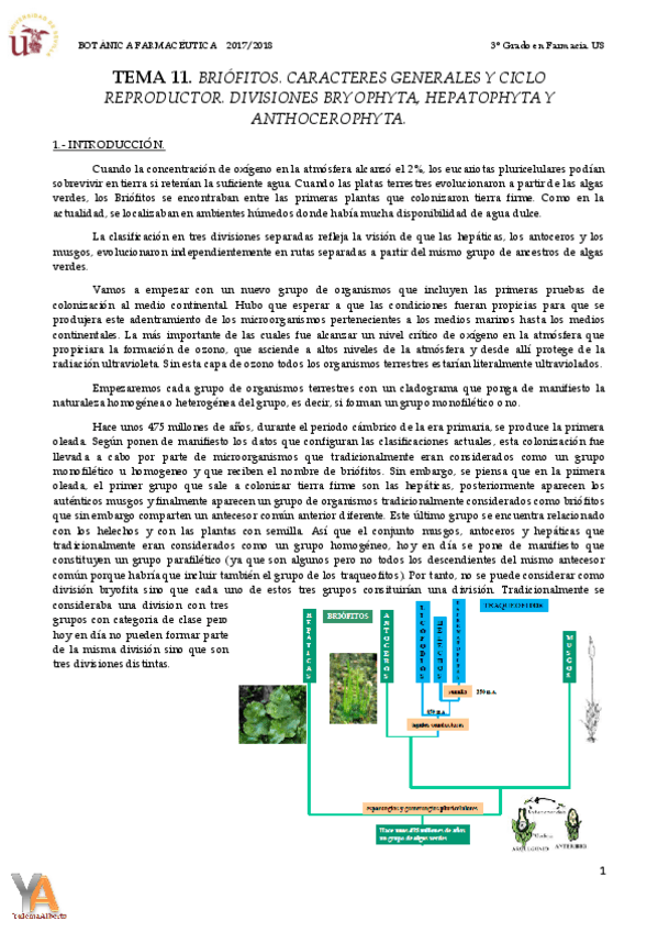 Miniatura del documento TEMA 11 BRIÓFITOS.pdf