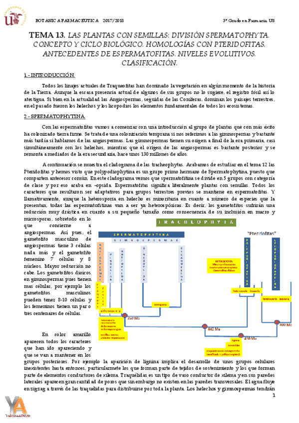 Miniatura del documento TEMA 13 INTRODUCCIÓN A ESPERMATOFITAS.pdf