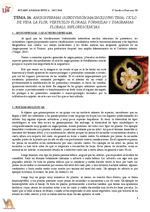 Miniatura del documento TEMA 17.pdf