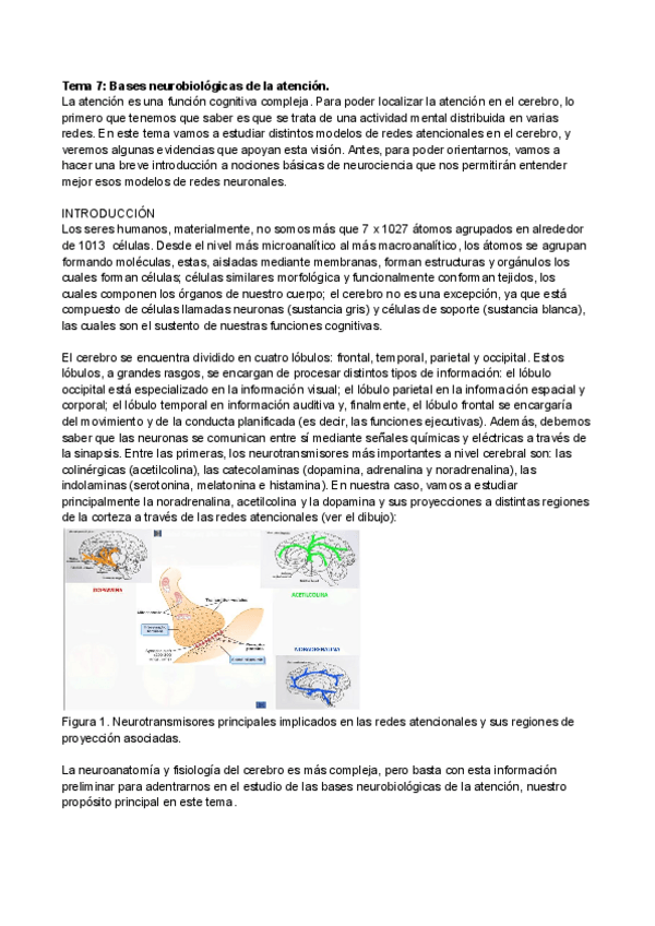 Miniatura del documento ATT7.pdf