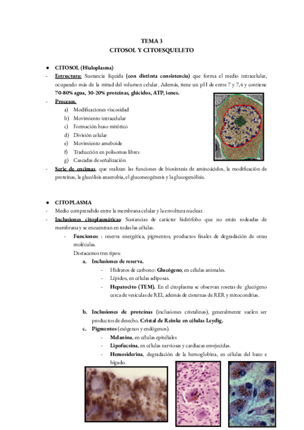 Miniatura del documento T.3-BIOLOGIA.pdf
