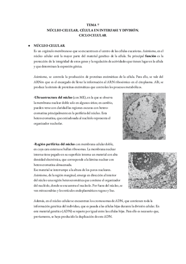 Miniatura del documento T7.-BIOLOGIA.pdf