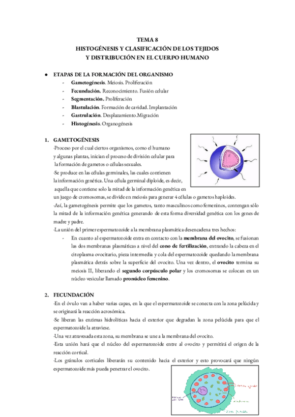 Miniatura del documento T8.-BIOLOGIA.pdf