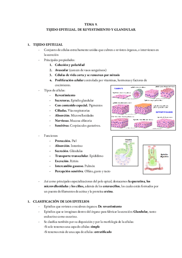 Miniatura del documento T9.BIOLOGIA.pdf