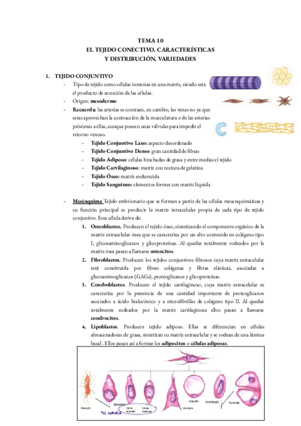 Miniatura del documento T10.-BIOLOGIA.pdf