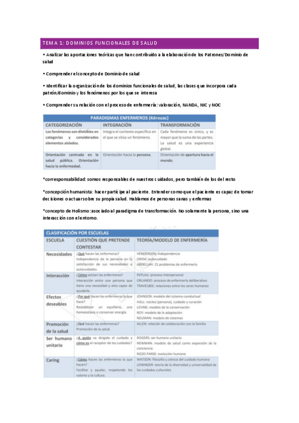 Miniatura del documento tema-1--dominios-NANDA.pdf