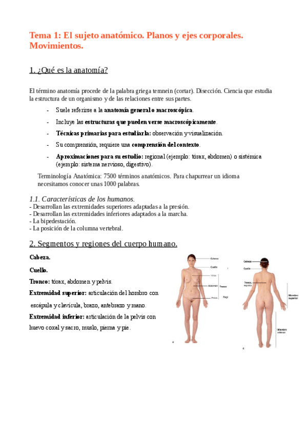 Miniatura del documento Resumenes-anatomia-humana-2023-2024.pdf