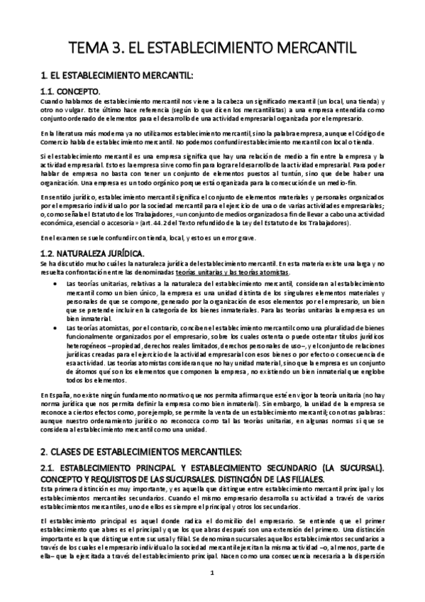 Miniatura del documento TEMA-3.-EL-ESTABLECIMIENTO-MERCANTIL.pdf