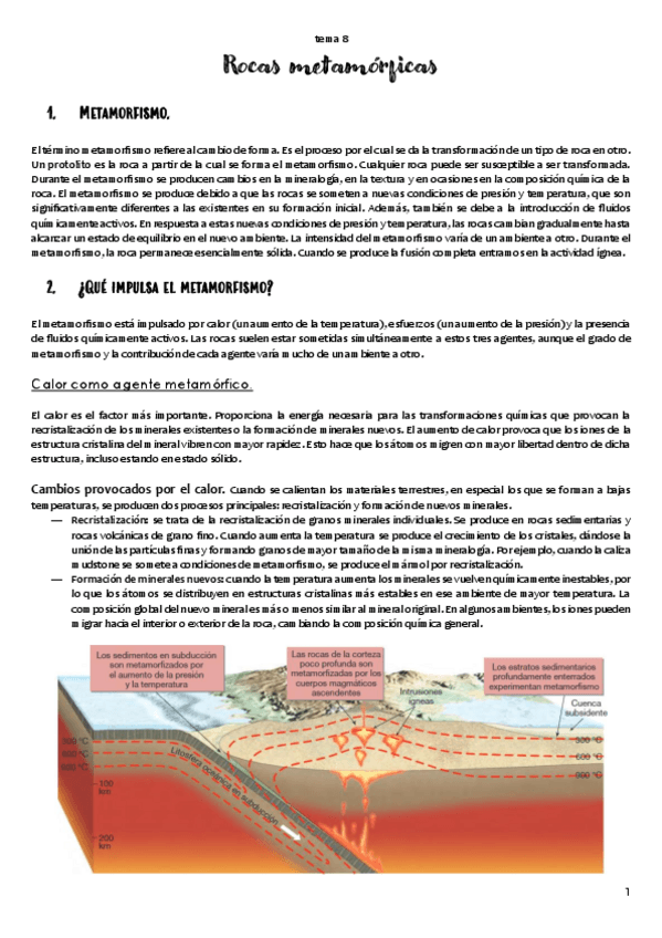 Miniatura del documento TEMA 8. Metamorfismo y rocas metamórficas.pdf
