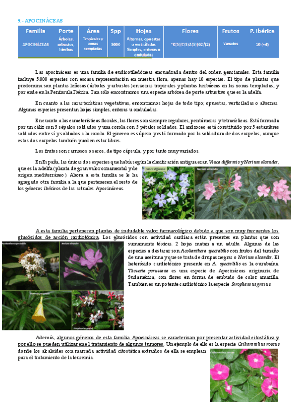 Miniatura del documento apocináceas.pdf